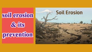 Soil erosion activity class8 science STEM Munch 3 [upl. by Zingale]