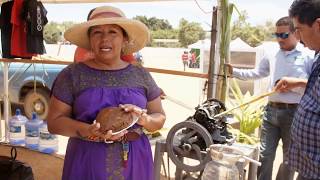 Festival de la Fresa y el Chile en Pescadero Baja Califorina Sur [upl. by Prager]