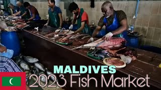 How to cut the giant TUNA skillfully at Male fish market of Maldives [upl. by Lesna136]