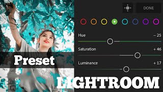 Lightroom Preset Dawnload Free  Lightroom Blue Tone Photo Editing Tutorial  By DXEDITOR [upl. by Allenaj895]