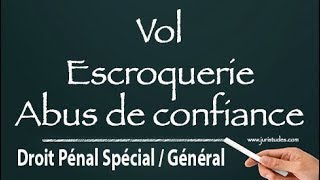 Les infractions contre les biens Droit Pénal Spécial  Général [upl. by Jehiel100]