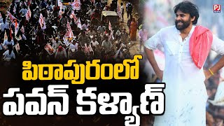 పవన్ కళ్యాణ్ పిఠాపురం పర్యటన Pawan kalyan  Pithapuram  PJNews [upl. by Poore]