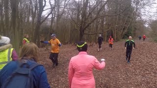 Banstead Woods parkrun 608 [upl. by Ellebyam]