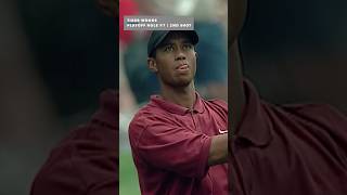 Tiger vs Furyk  EPIC 7hole playoff 🔥 [upl. by Gleich676]