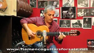 Vicente Carrillo quotPaco de Luciaquot 2003 flamenco guitar for sale played by Pedro Javier González [upl. by Ocirne]