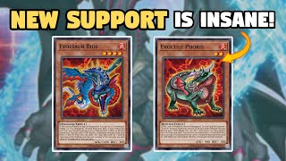 NEW SUPPORT EvolsaurEvoltile Deck Profile  5 NEGATE COMBO  August 2023 Post DUNE [upl. by Cameron]