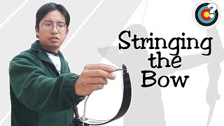 Archery  How to String a Bow [upl. by Irmina17]