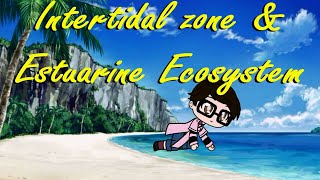 Science Grade 5 Intertidal Zone and Estuarine Ecosystem [upl. by Halli]