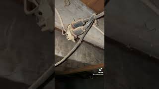 Garage Marijuana Grow Electrical electrical safetyfirst portland jerryrigeverything [upl. by Ynaffital]