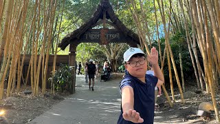 San Diego Zoo safari park 🦒🦏🦁🐘🦘🦅🐅🦍🐦 [upl. by Anavi]