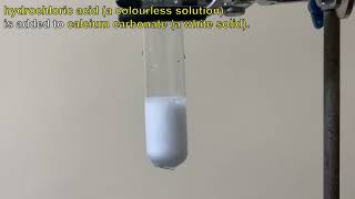 Hydrochloric acid is added to Calcium carbonate [upl. by Nevlin]