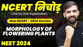 NCERT निचोड़ Morphology of Flowering Plants  NCERT Biology Line by Line Explanation for NEET 2024 [upl. by Brause]