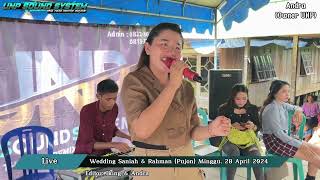 RENA RENA RENA  NEW DJ REMIX VIRAL  Lala Marapit  LIVE DESA PUJON [upl. by Arlan]