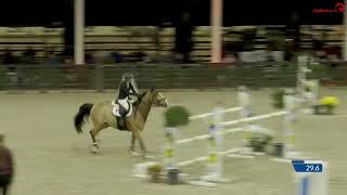 Quastor vd Heffinck  CSI2 140m Lier [upl. by Moyer]