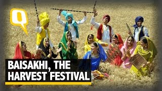 The Quint The Story of Baisakhi Bihu And India’s Harvest Festivals [upl. by Limaa217]