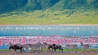 Adventure Highlight Ngorongoro Crater Africa [upl. by Nnaycart]