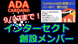 【カルダノADA 10万円勝負】20240925 第1996回 927まで募集！インターセクト 創設メンバー 772952円 6730 [upl. by Casta]