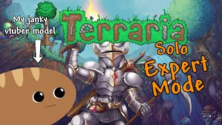 Time for Mech bosses  Terraria Solo Expert Mode [upl. by Aihsatal77]