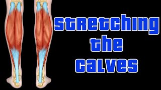 Ultimate Calf Stretch Target Both Gastrocnemius and Soleus Muscles [upl. by Akinat70]