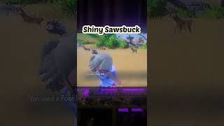 Shiny Sawsbuck pokemonviolet pokemon switchgames sawsbuck [upl. by Aicala]