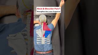 Neck amp Shoulder Pain Strengthen the Lower Trapezius neckpainrelief neckpain shoulderpainrelief [upl. by Brittain]