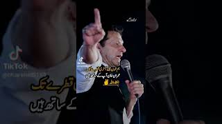 Imran Khan academy duet pakistanicalligrapher pakistanipolitician pti [upl. by Lleinad791]