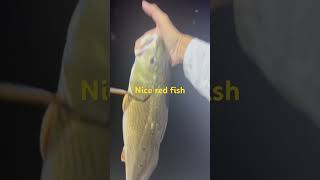 Redfishwired2fish wired2fish bassfishing twofish fishing fishingvideo automobile carptalk [upl. by Aritak230]