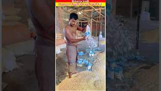 Factory मैं लाई कैसे बनाई जाती है ll shortvideo shortsfeed shorts fact making [upl. by Eirameinna]