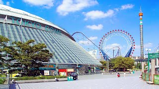 Walk from Tokyo Dome to   JAPAN LIVE STREAMS 2024 [upl. by Ahon]