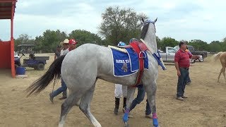 CARRERAS DE CABALLOS FuturityCIRUJANO [upl. by Naahs]