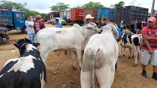 FEIRA DE GADO EM CAMPINA GRANDEPB 10042024 [upl. by Ajram61]