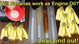 Will Bananas work as Engine Oil Lets find out [upl. by Lleval]