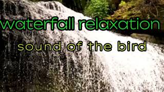 relaxation waterfall and bird sounds in the forest [upl. by Onitsirc]