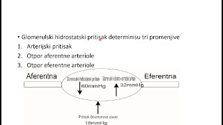 Aferentna eferentna arteriola Regulacija glomerulskog hidrostatskog pritiska GFR [upl. by Tanney]