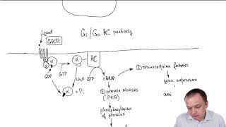 cAMP Signalling Pathway Part 10 [upl. by Noirod]