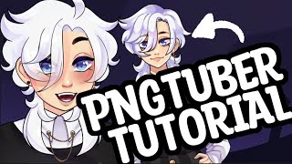 HOW I MAKE PNGTUBERS  PNGTuber Plus Tutorial [upl. by Meter]