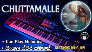 Chuttamalle Keyboard Notation Janhvi KapoorKeyboard Tutorial with Notation Piano Sinhala Notation [upl. by Kelwunn]