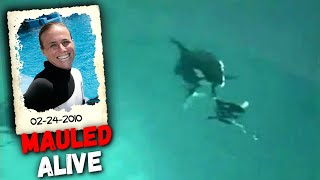 HORRIFYING Footage of Killer Whale Fatally Mauling Trainer Dawn Brancheau [upl. by Lledal362]