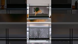 CES 2024 A look at LG’s showstealing transparent TV shorts [upl. by Jerad]