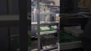 Plastic PP Meat Tray Thermoforming Machine [upl. by Todd493]