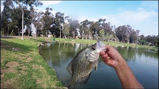 Tri City Park Crappie Fishing [upl. by Hatty]