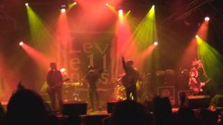 Levellers  This Garden LIVE Bearded Theory 2013 [upl. by Dygert]