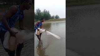 Cutting my village river net fishing short [upl. by Aloiv]