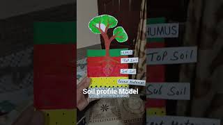 Soil Profile Model। Humus। Top soil। Sub soil। Parent material। Bedrock। tree trend shorts viral [upl. by Eignat]