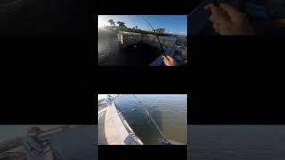 pier fishing in FL [upl. by Enaj]