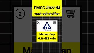 FMCG सेक्टर की सबसे बड़ी कंपनिया 😱🔥 stockmarket sharemarket shorts trendingstock fmcgstocks [upl. by Githens273]