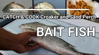 Catch and Cook Croaker [upl. by Nylasoj]