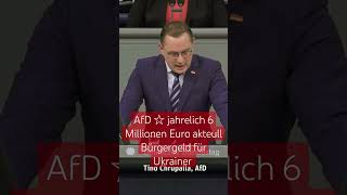 AfD ☆ jahrelich 6 Millionen Euro akteull Bürgergeld für Ukrainer bürgergeld ukraine afd shorts [upl. by Atiuqnahs]