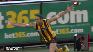 AFL 2013 1st Preliminary Final  Hawthorn highlights vs Geelong [upl. by Warder]