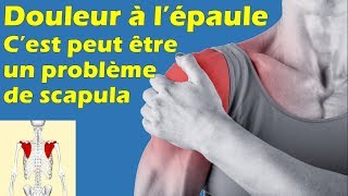 Douleur à lépaule  peutêtre un souci de scapula  Que faire [upl. by Nylidnarb408]